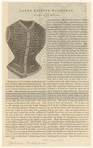 Image ID 826301