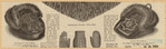 Image ID 826447