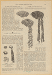 Image ID 826472