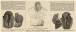 Image ID 826524