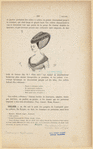 Image ID 826526