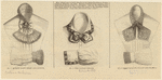 Image ID 826538