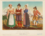 Image ID 826993