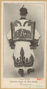 Image ID 827184