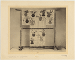 Image ID 827382