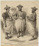 Image ID 827446