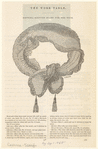 Image ID 828000