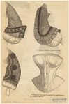 Image ID 828130