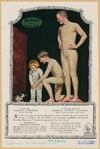 Image ID 828325