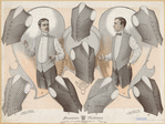 Image ID 828352