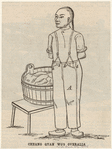 Image ID 828405