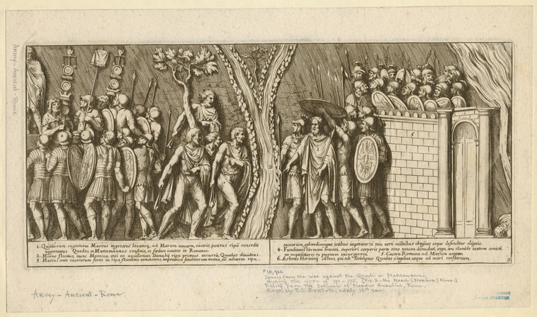 Image ID 830044
