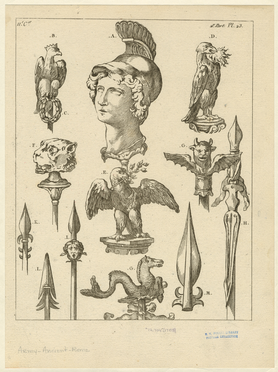 Image ID 830071
