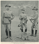 Image ID 830079