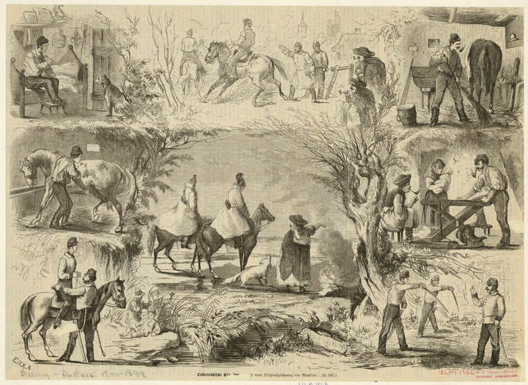 Image ID 830127
