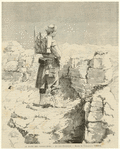 Image ID 830294