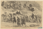 Image ID 830467