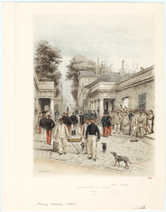 Image ID 830646