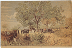 Image ID 830681