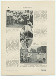 Image ID 830840