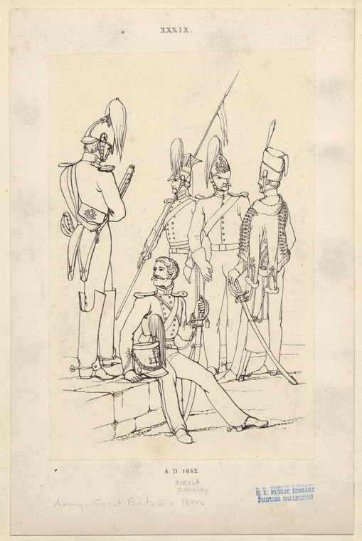Image ID 830944
