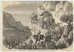 Image ID 830951