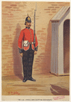 Image ID 831014