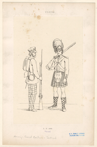 Image ID 831018