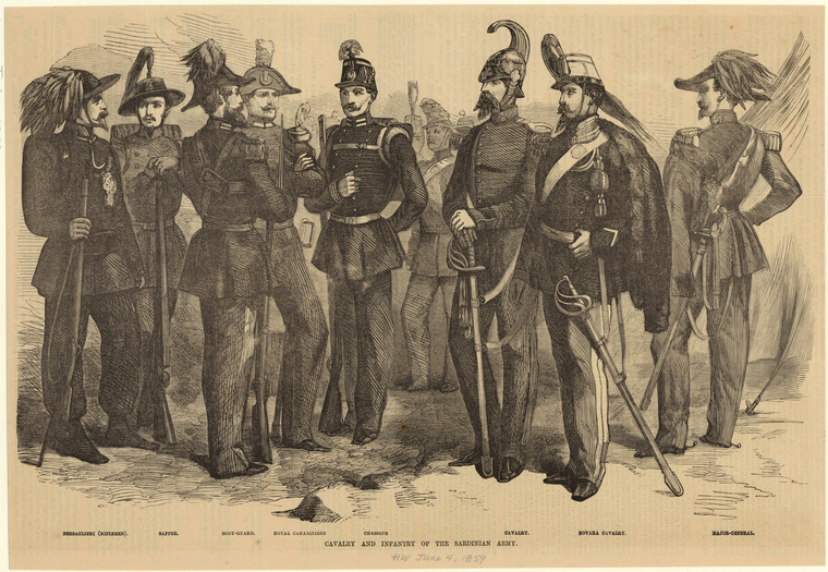 Image ID 831049
