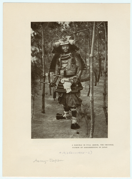 Image ID 831101
