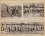 Image ID 831117
