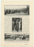 Image ID 831201
