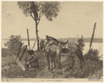 Image ID 831219