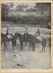 Image ID 831242