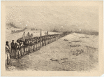 Image ID 831451