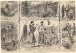 Image ID 831491
