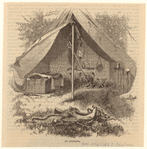 Image ID 831532