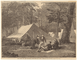 Image ID 831536