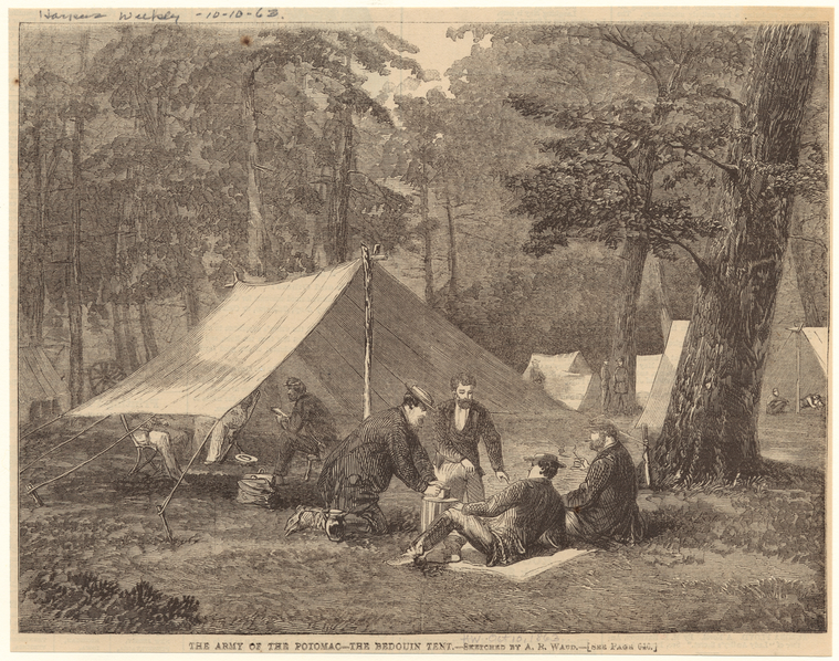 Image ID 831536
