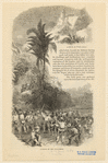 Image ID 831615