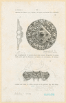 Image ID 831657