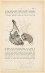 Image ID 831658