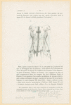 Image ID 831666