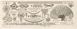 Image ID 831714