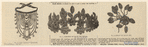 Image ID 831725