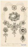 Image ID 831727