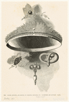 Image ID 831729