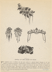 Image ID 831762