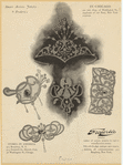 Image ID 831813