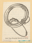 Image ID 831888
